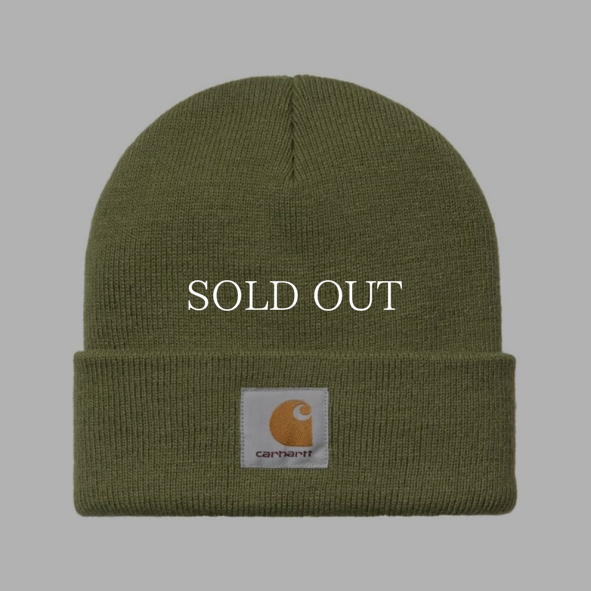 画像1: CARHARTT WIP  SHORT WATCH HAT (Kiwi) (1)