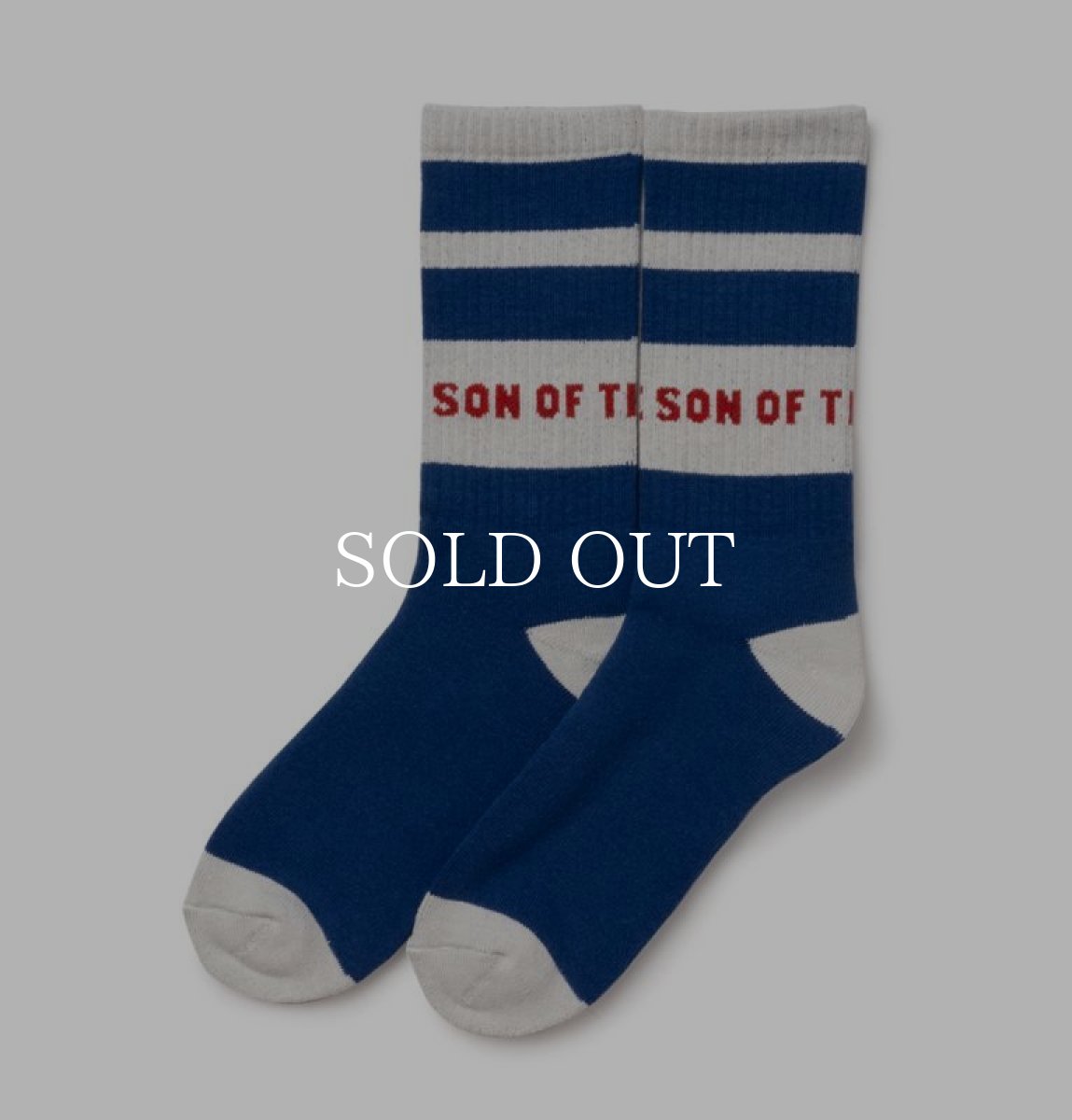 画像1: SON OF THE CHEESE  POOL SOX (BLUE) (1)