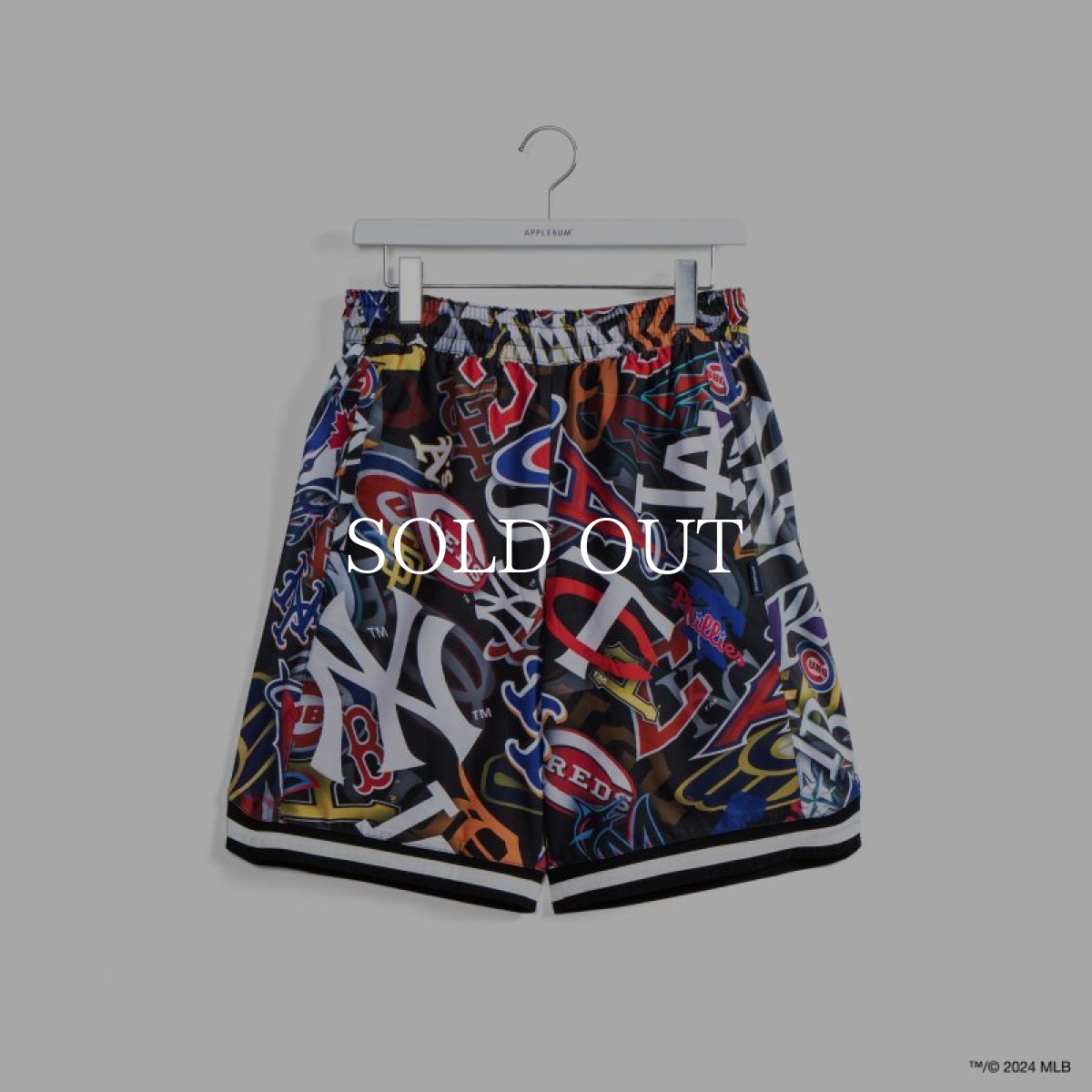 画像1: APPLEBUM “Team Logo Pattern” Short Pants (1)