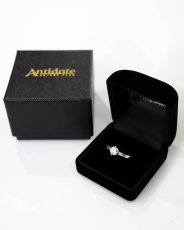 画像1: ANTIDOTE BUYERS CLUB   Gift Box (Ring) (1)