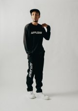 画像7: APPLEBUM  Sports Logo Double Knit Pants (7)