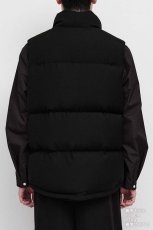 画像10: DIGAWEL  STLTH Puffer Vest (F/CE.×DIGAWEL) (10)