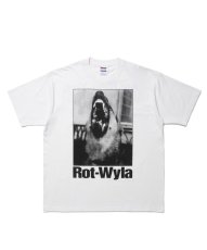 画像1: ROTTWEILER 【先行予約】DOG PHOTO TEE (1)