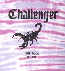 画像4: CHALLENGER  TIE DYE SCORPION TEE (4)