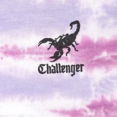 画像3: CHALLENGER  TIE DYE SCORPION TEE (3)