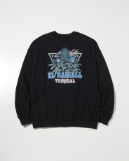 画像2: RADIALL  TRUE DEAL POT - CREW NECK SWEATSHIRT L/S (2)