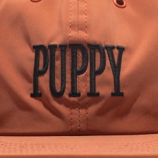 画像24: THE H.W.DOG&CO.  PUPPY SKATE CAP (24)