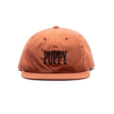 画像20: THE H.W.DOG&CO.  PUPPY SKATE CAP (20)